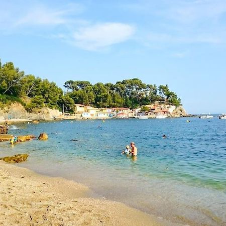 T2 Cosy Toulon, Proche Plage Esterno foto